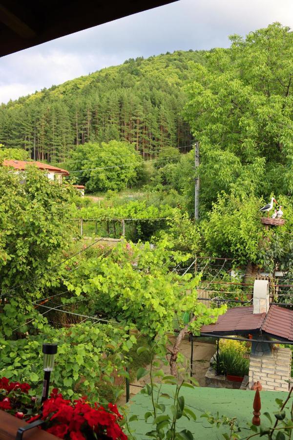 Green House - Попниколови Sapareva Banya Exterior foto