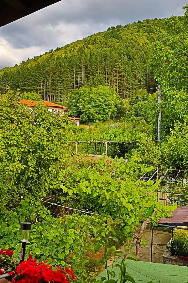 Green House - Попниколови Sapareva Banya Exterior foto